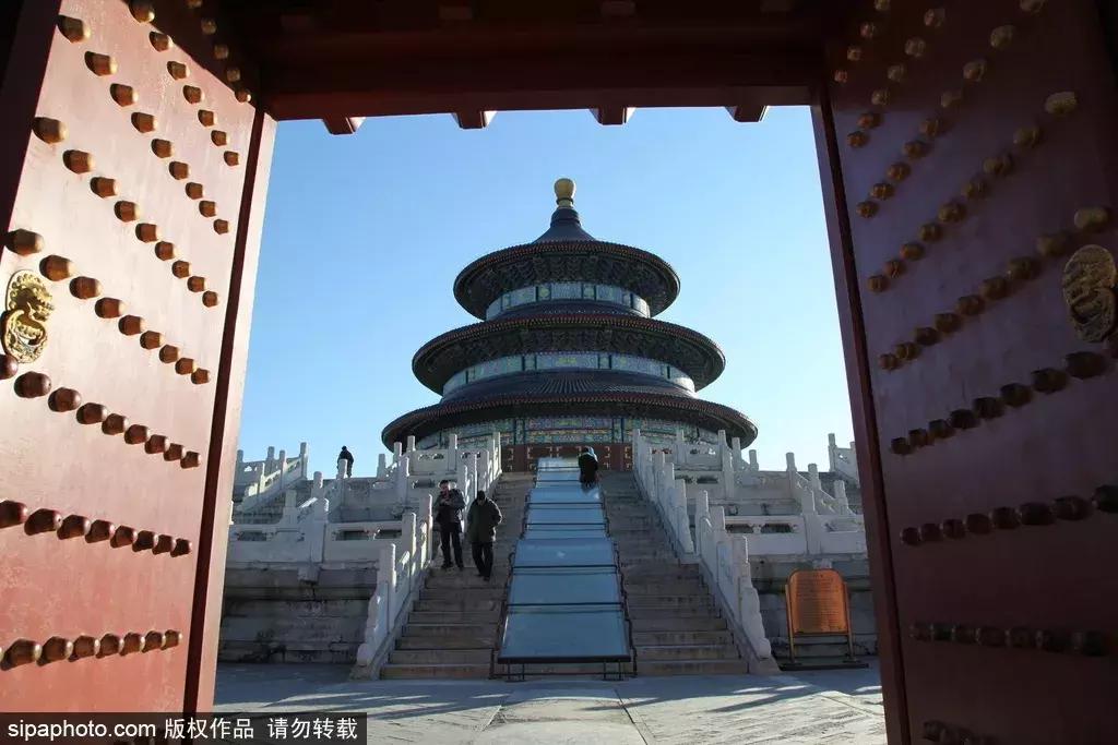 最美的菊花品种大全及价格,世界上最美的八十种菊花大全