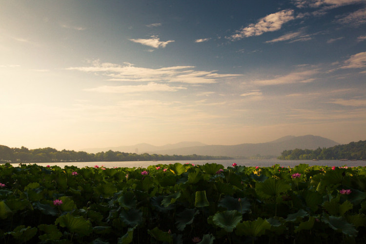 风光如画景色宜人,景色如画环境怡人