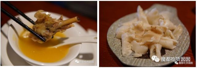 重磅收藏|魔都最全花胶鸡测评，我们为此吃掉200斤花胶鸡！