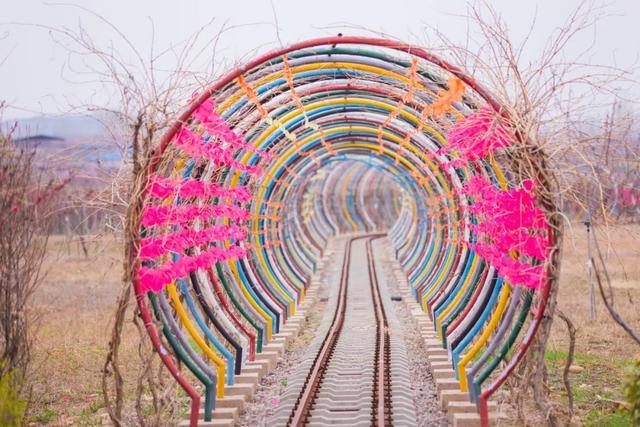 五月拍照适合什么主题,6月适合的拍摄主题