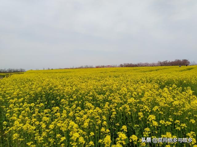 雅马哈巧格300公里首保,雅马哈巧格3万公里后综合油耗