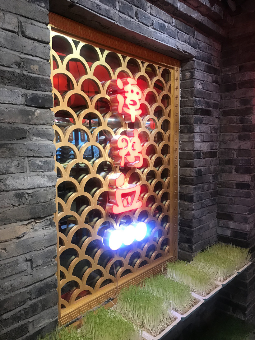 谢霆锋成都打卡百年老店,谢霆锋打卡上海网红店