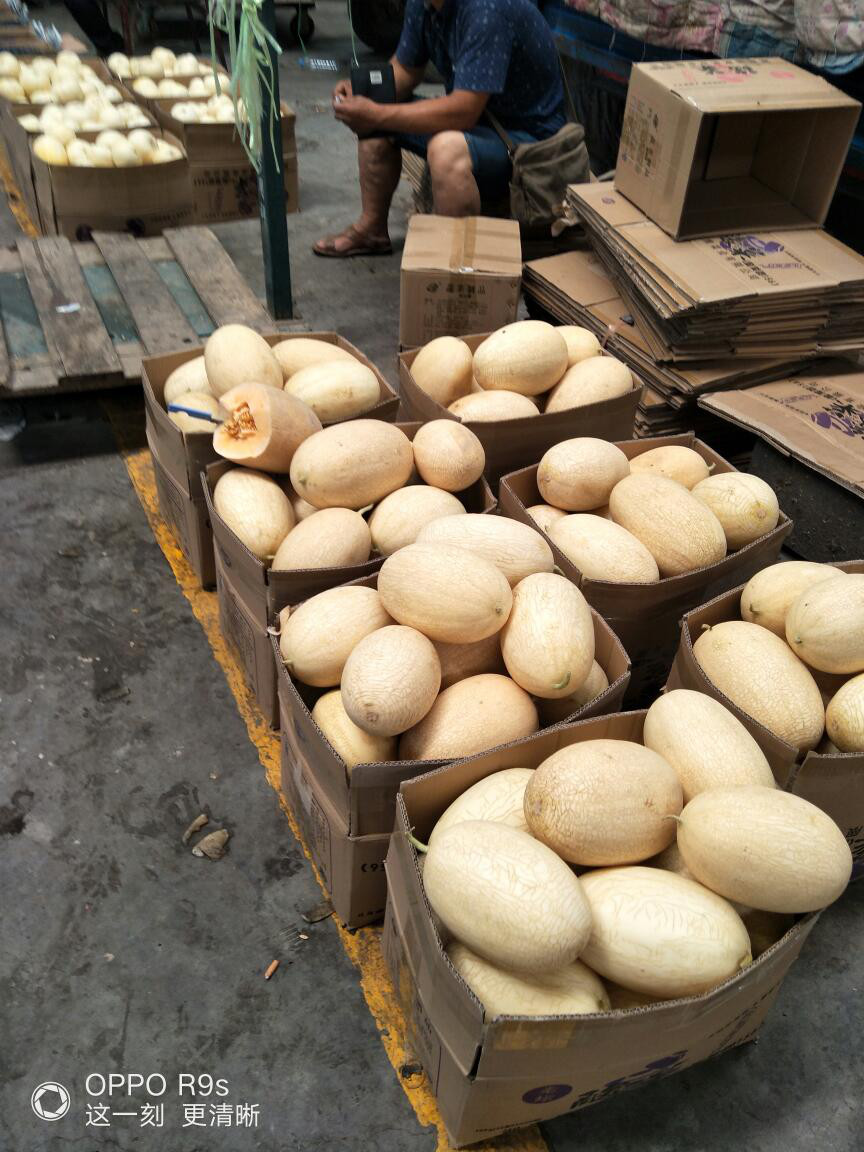 四川姑娘在新疆的生活日常,四川姑娘在南疆记录美好生活