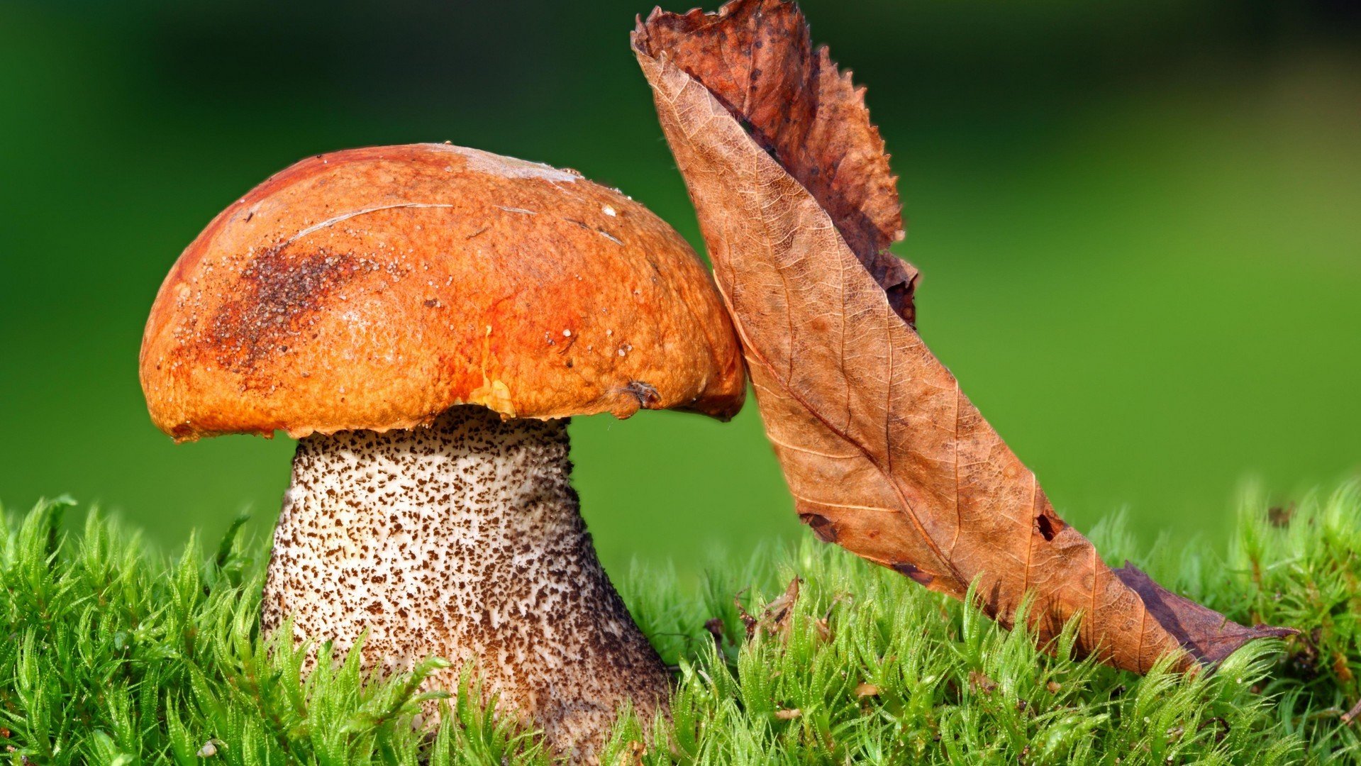 运20超清壁纸1920x1080原图,高清电脑壁纸1920x1080海贼王