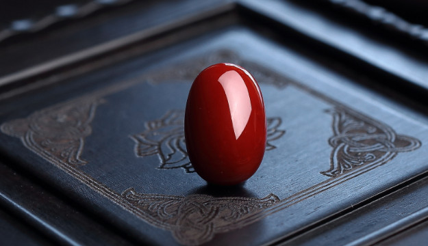 买珊瑚，看这篇就足够了~