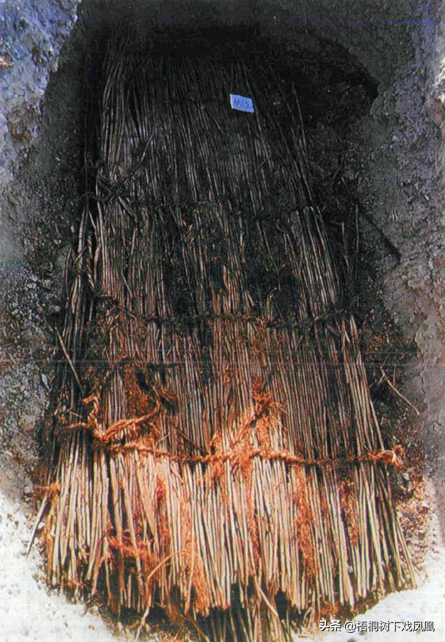 古墓现真容或为贵族墓,考古身高超高的尸骨