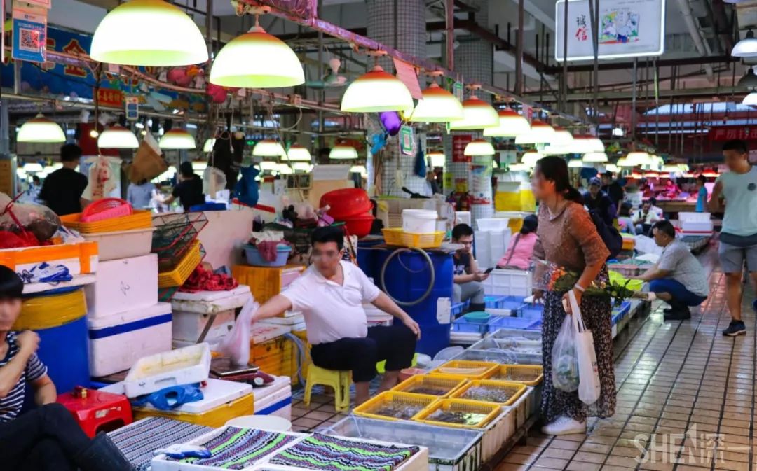 深圳蛇口前世今生,深圳蛇口有怎样的辉煌历史