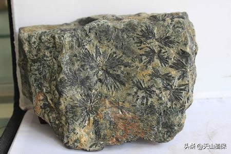 *疆新**石头知多少，请来围观