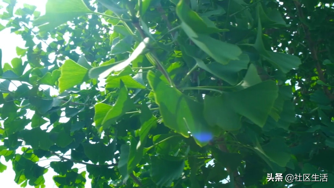 「教育社区」艰苦磨砺，勤思创新，戴氏教育让学习不再枯燥