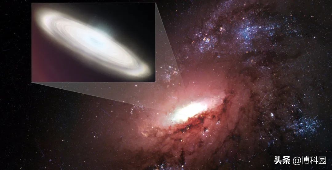 瀹囧畽鑶ㄨ儉鍝堝媰甯告暟,瀹囧畽鍝堝媰甯告暟