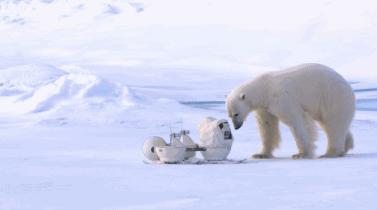 这6部电影足以秒杀大部分电影,十部必看旅行纪录片人文纪录片