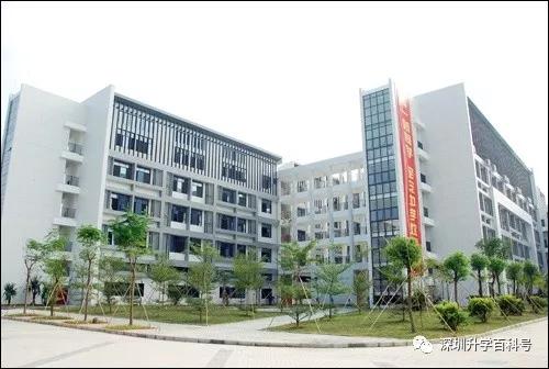 深圳人挤破头都想进的10座小学,深圳人最想进的小学