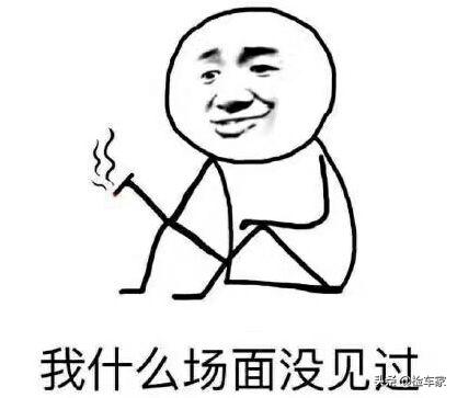 第八代大众高尔夫gti家用体验如何,大众高尔夫第6代gti值得买吗