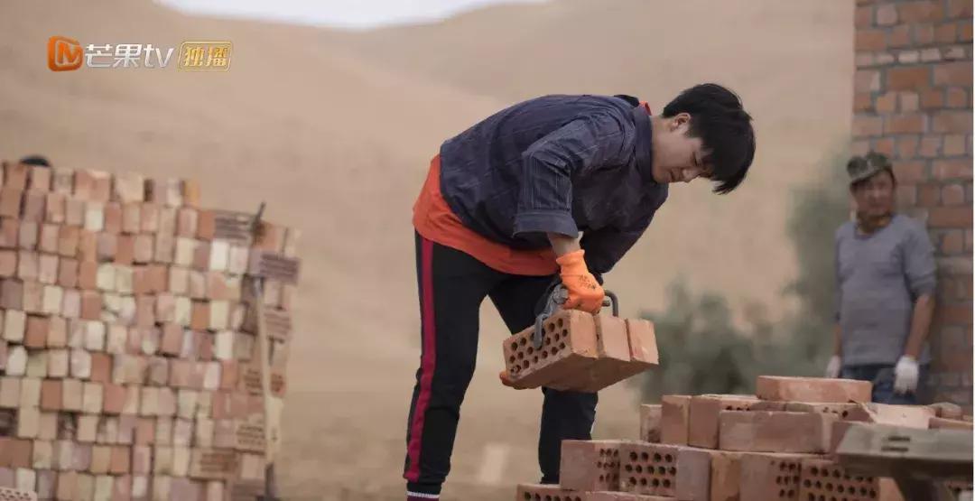 十九季变形计,变形计十九季有多少人变形