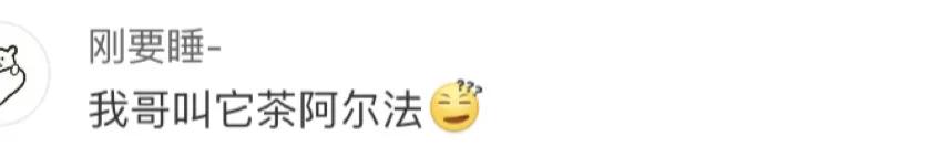 这些口误闹出的笑话,一时口误闹出的笑话评论区原视频