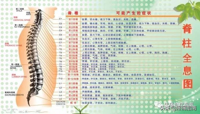 脊原性疾病,脊源性疾病怎么治