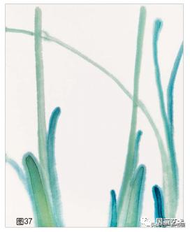 芭蕉叶画法教程,国画芭蕉画法视频