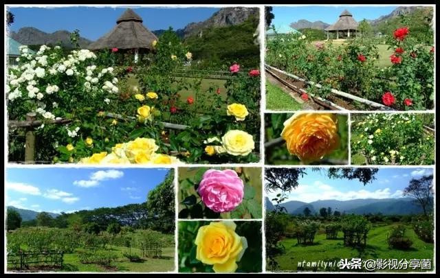 男女主双颜值在线的番,男女主双商都高的电视剧