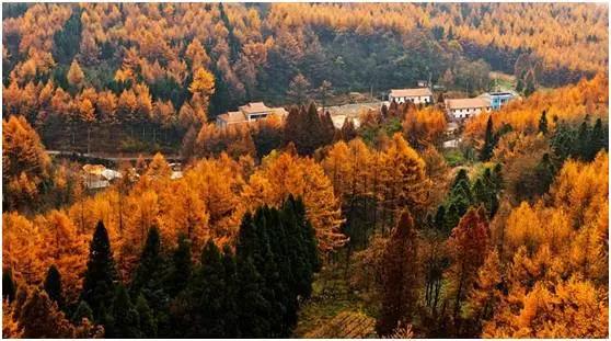 恩施，凭什么持续美哭全国，惊艳世界？