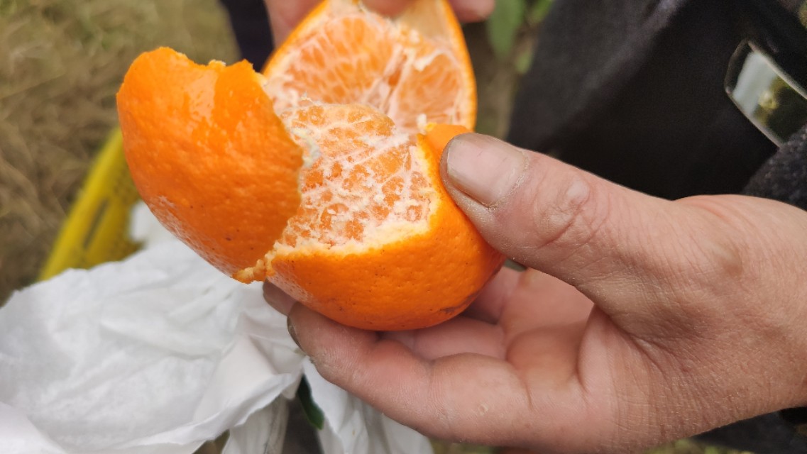 网上买水果一小时送到app,网上买水果和超市有什么区别