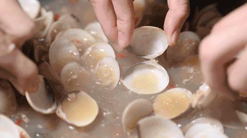 冲着“海虫子”去的卜卜贝，每天排队到凌晨1点