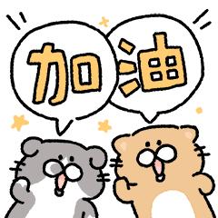 2020年上杭五人制足球比赛,酣畅淋漓比赛开始