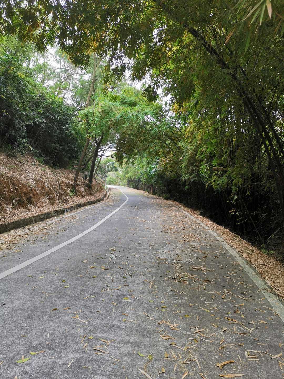 厦门市天竺山一日游,厦门天竺山攻略
