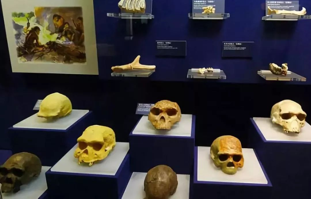 你心中的大山是什么,你心中的十堰是什么样的