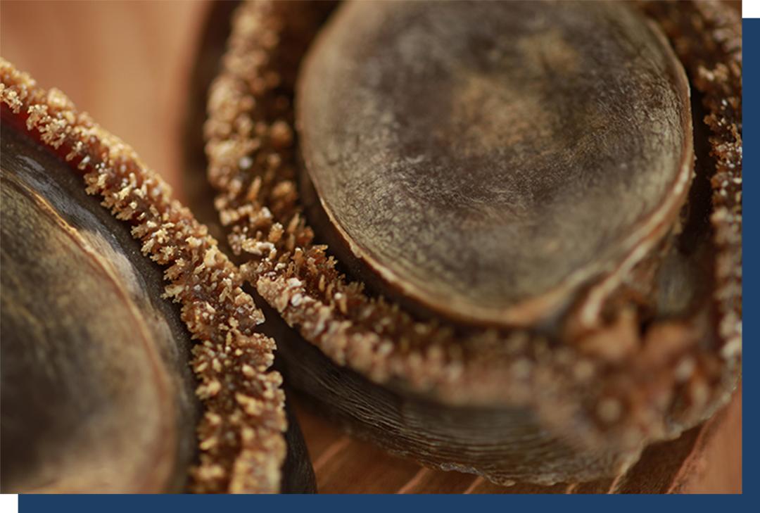 干鲍有多贵,干鲍为什么那么贵