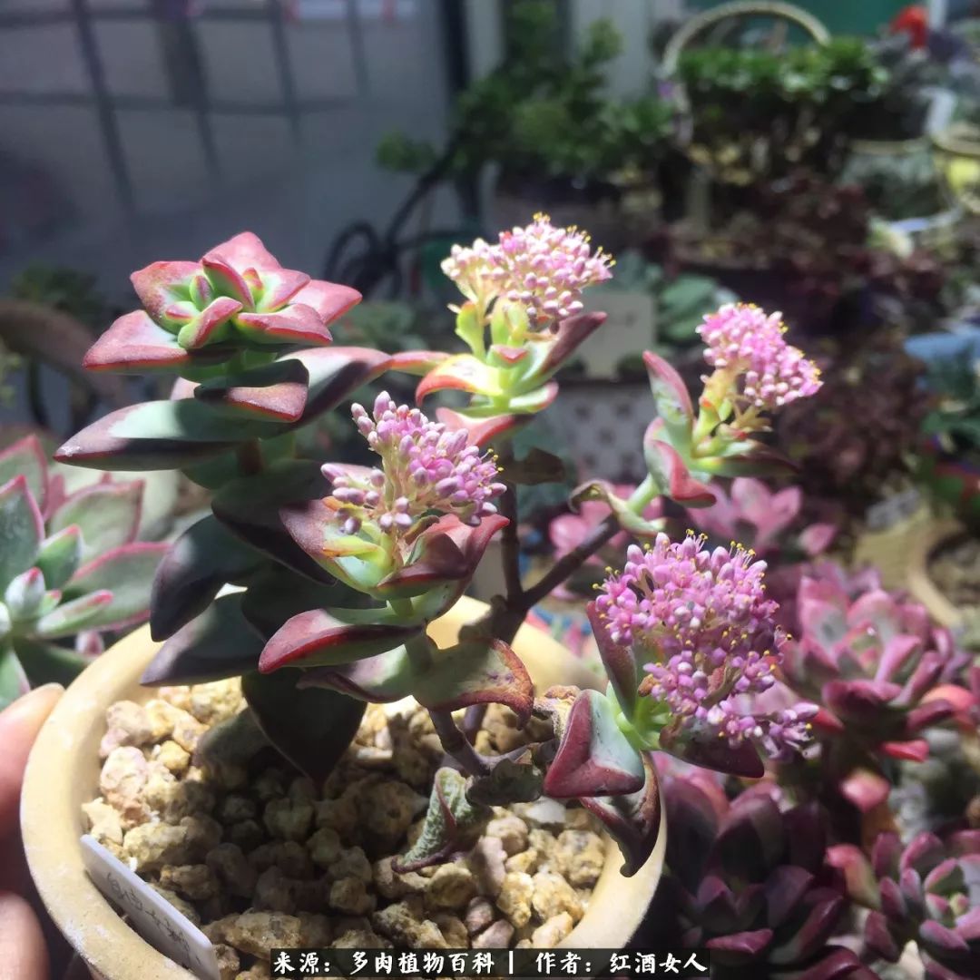 记录走过的美景留下美好的回忆,记录走过的每一段美好时光