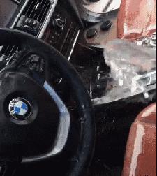 搞笑gif段子你家狗真会玩啊,狗子剃毛恶搞