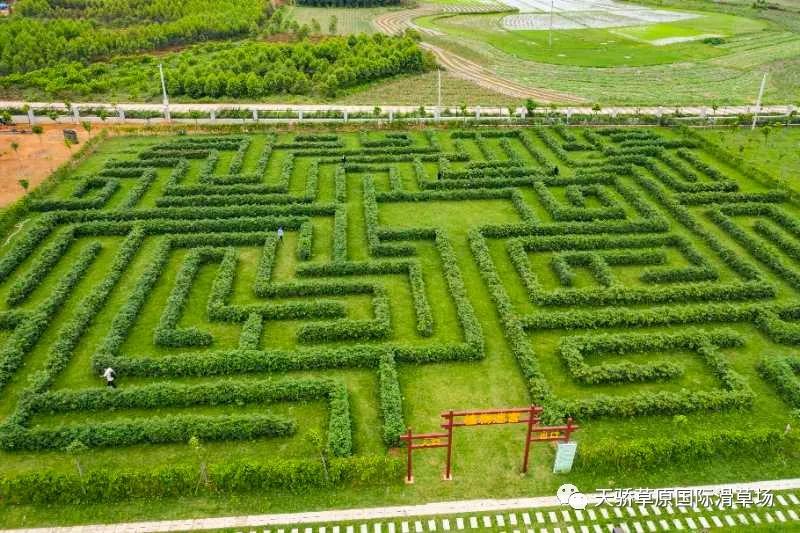 这才是进入春天的正确打开方式,怎么打开春天的新方式