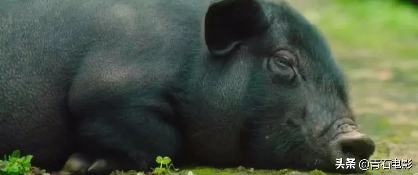 一点就到家豆瓣点评,一点就到家口碑