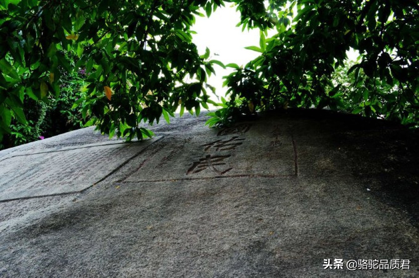 厦门海边之旅,厦门小众旅游体验