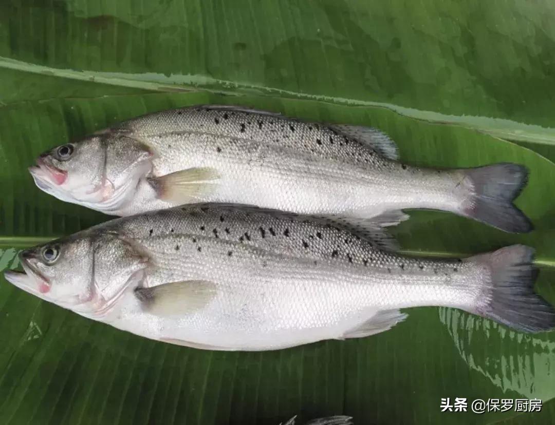 海鲜大荟萃,常见贝壳类海鲜