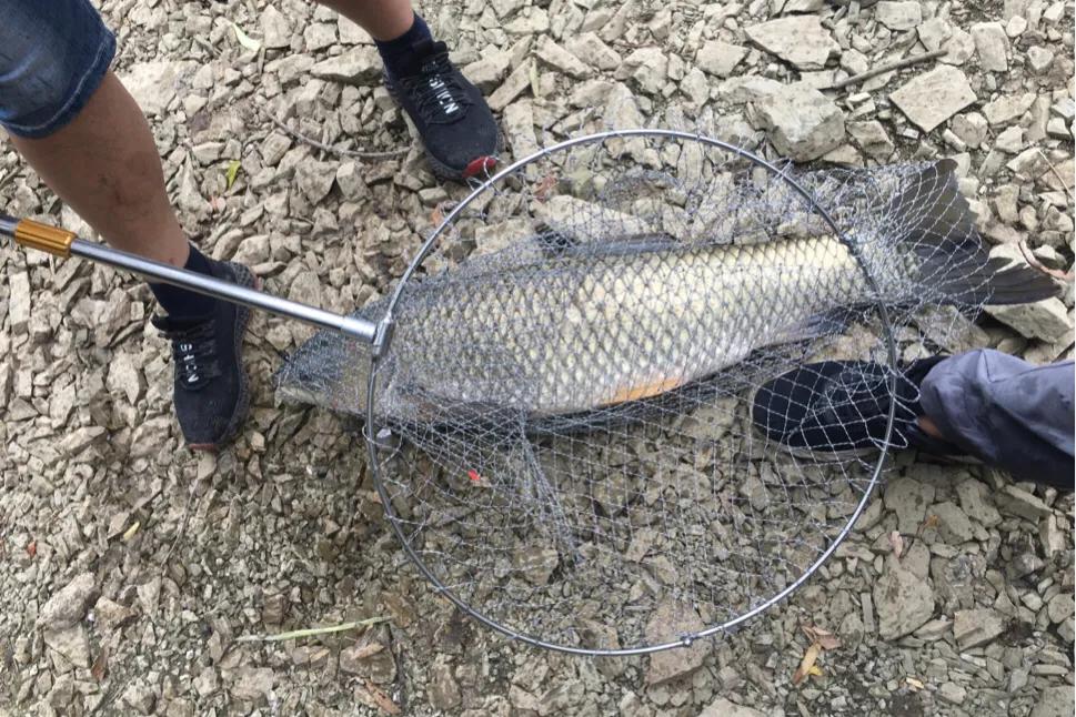 高手分享钓大鱼的5个必备技巧,水越浅钓的越远吗