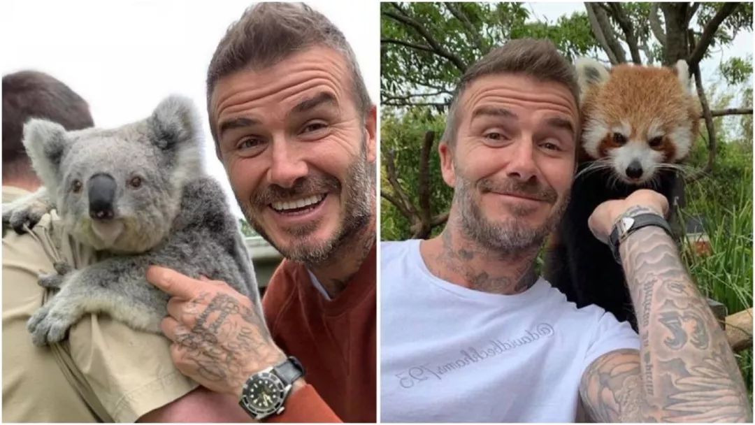 贝克汉姆42岁长发,贝克汉姆晒照为贝嫂庆生