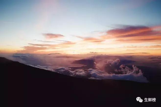 今日高榕资本生鲜寒战