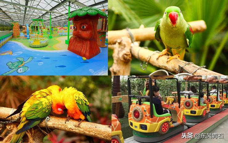 北京冬季适合带孩子玩的温泉酒店,北京冬天适合亲子游的酒店