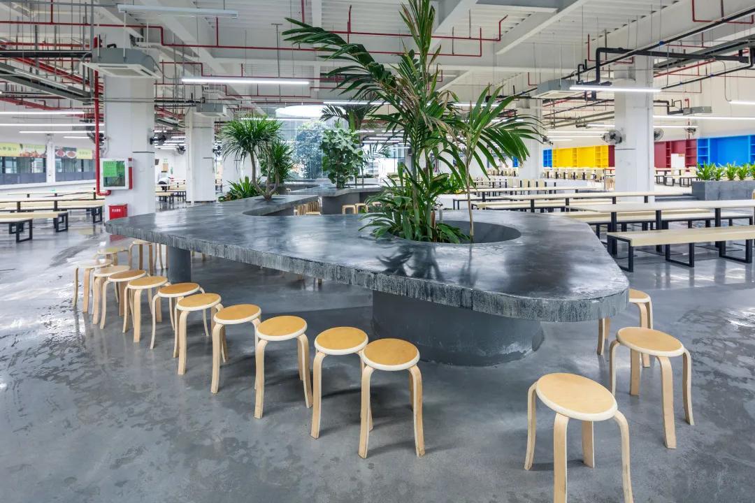 深圳建文外国语学校招生条件,深圳市建文外国语学校是否转公立