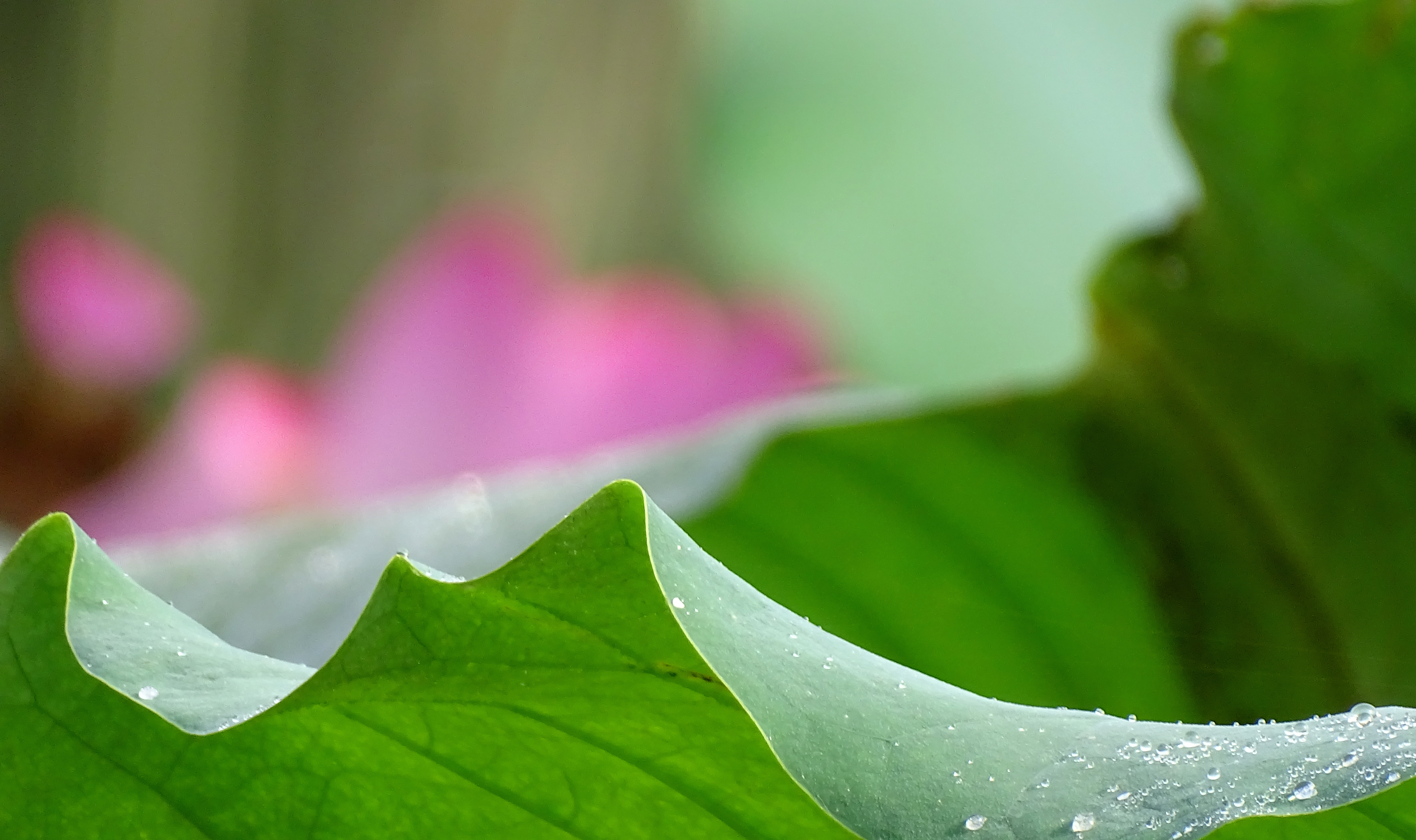 索尼dsc-hx400拍飞机效果,索尼dsc-hx400照片调色