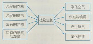 提高思维的四大技巧,如何提高中小学生思维水平