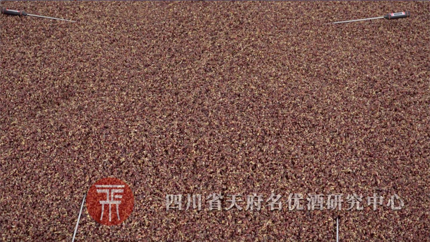 高粱小曲酒常见问题,小曲高粱酒入窖温度低了怎么补救