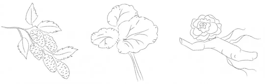 美容大王大s是怎么保养皮肤的,美容大王大s美容秘诀