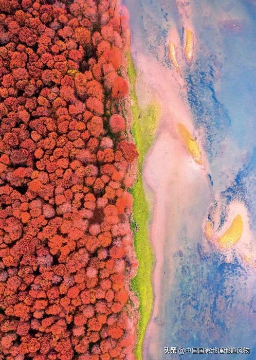 北京长城八达岭来历,八达岭长城有什么特点