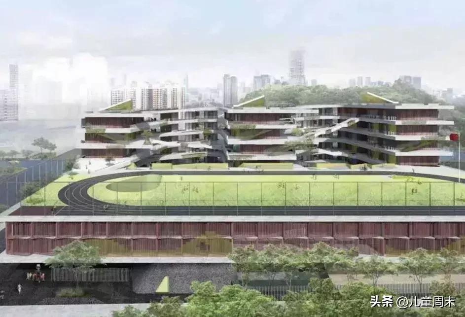 深圳五大梯队小学,深圳5大梯队高中