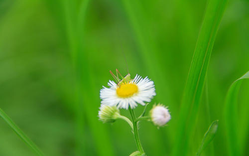 零基础学ps多久能做淘宝美工,电商美工零基础入门