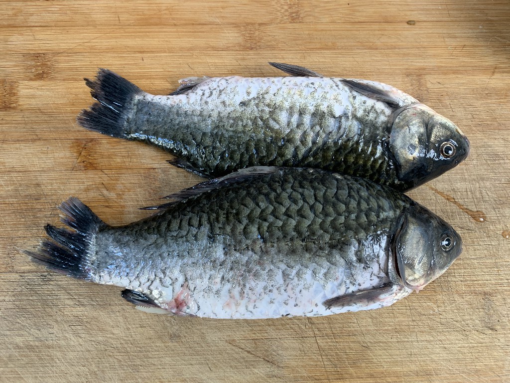 给鱼去腥技巧,鱼里加点醋可以除腥吗