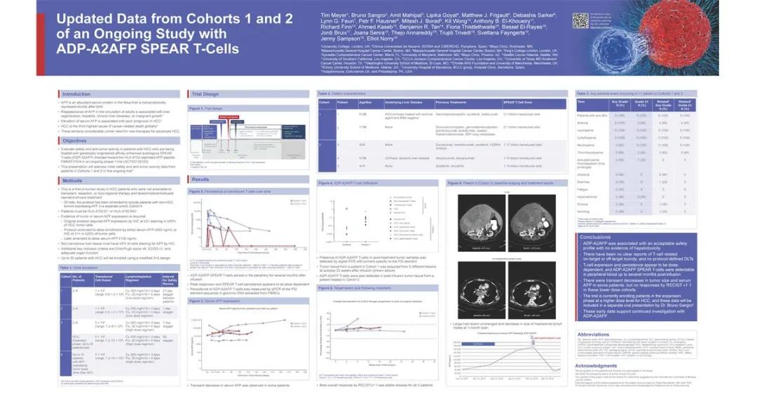 肝癌晚期最新突破药,t细胞治肝癌最新临床进展