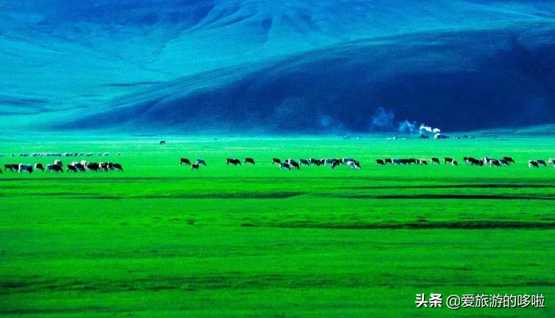 中国最美十大自驾线路,中国最美的七条自驾游路线